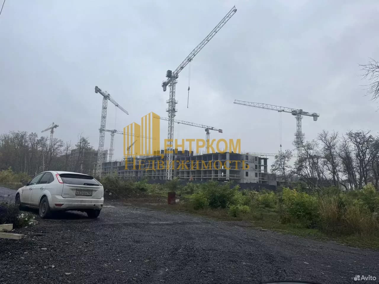 Миниатюра 3