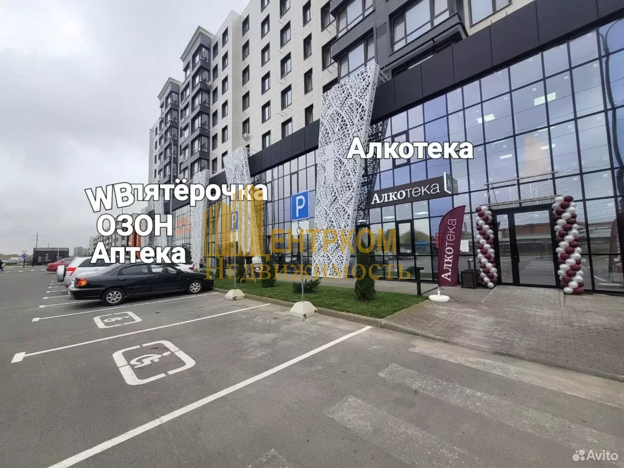 Миниатюра 12