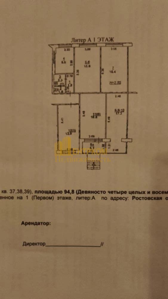 Миниатюра 19
