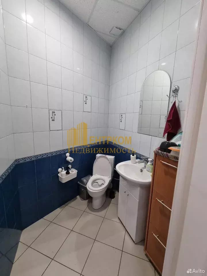 Миниатюра 6