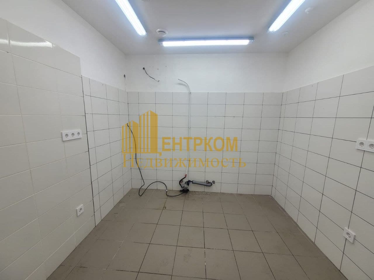 Миниатюра 11