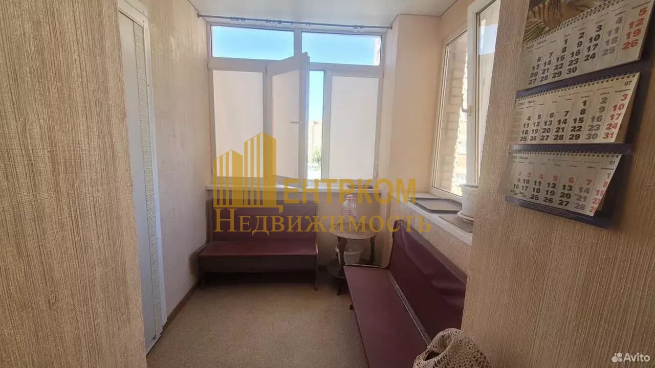 Миниатюра 12
