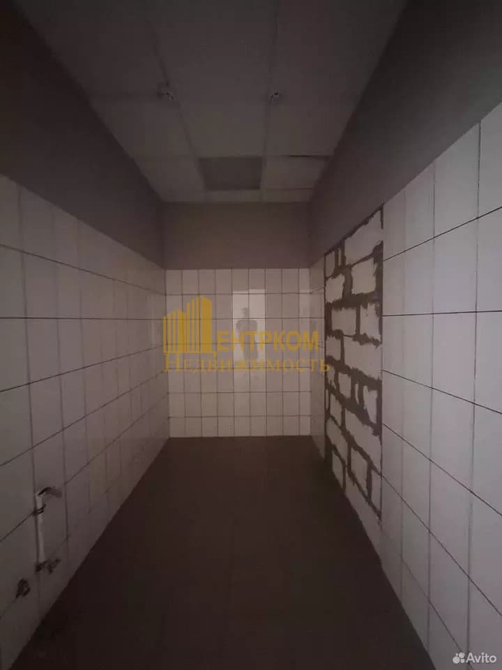 Миниатюра 10