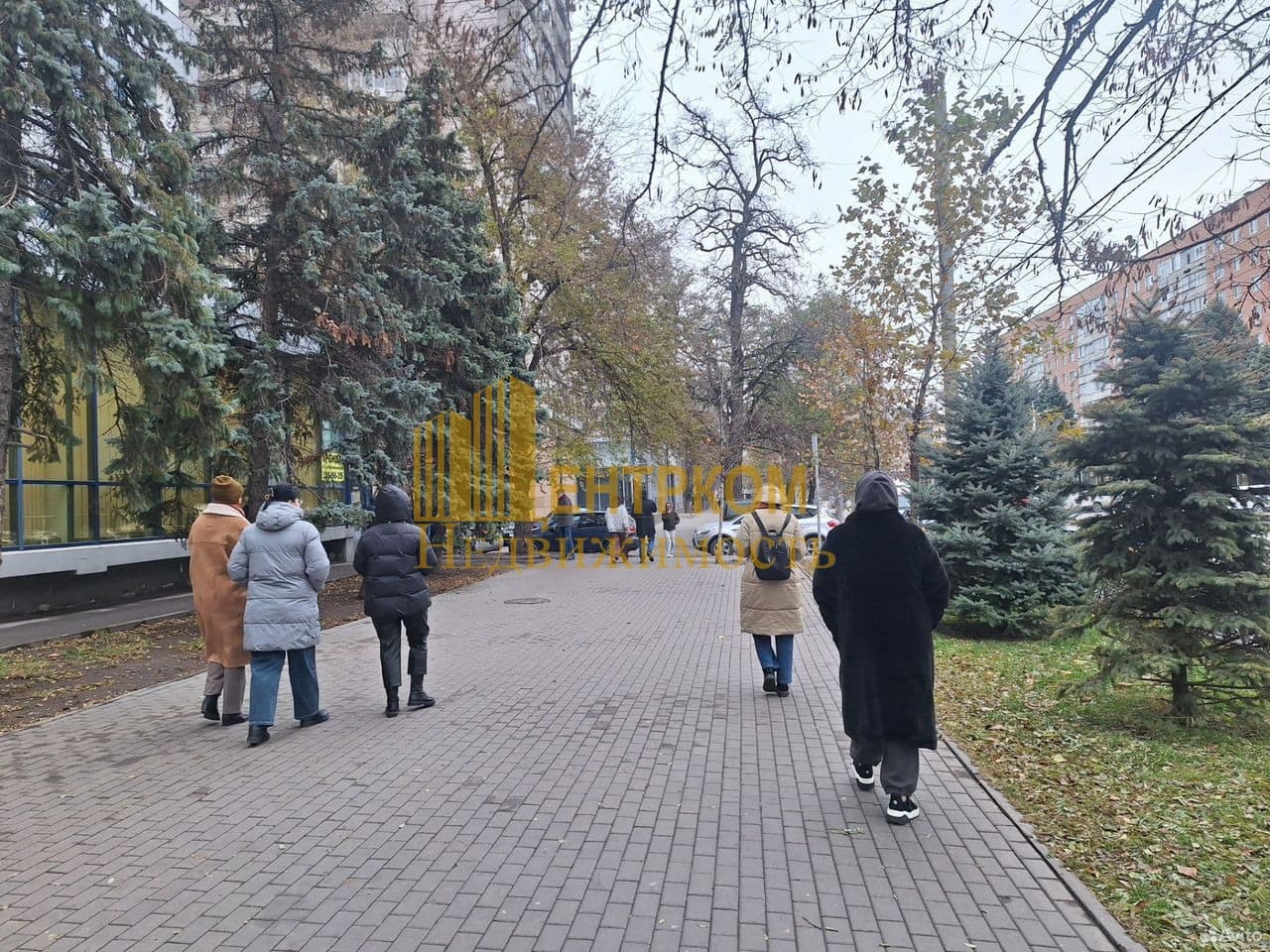 Миниатюра 6