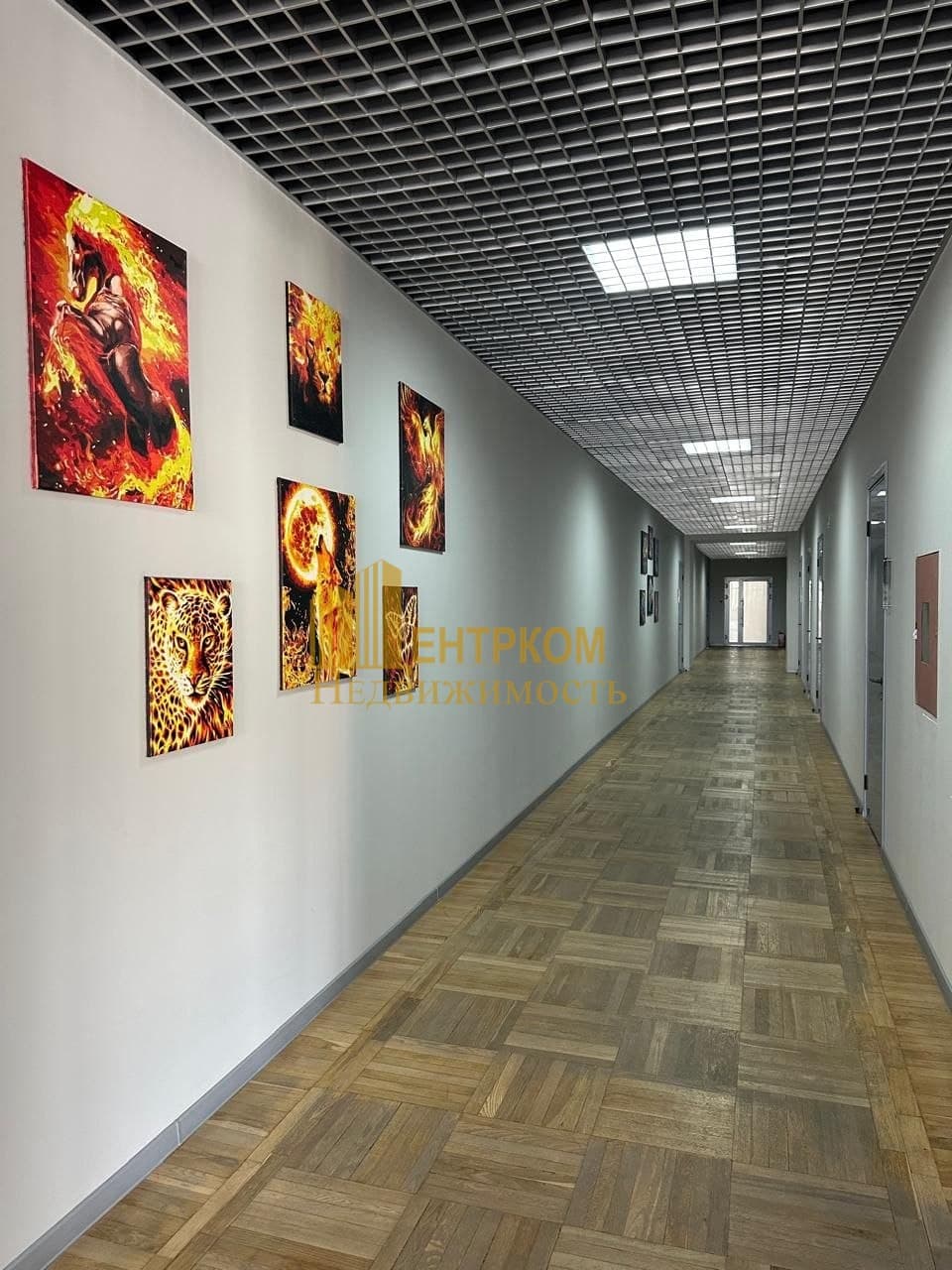 Миниатюра 4