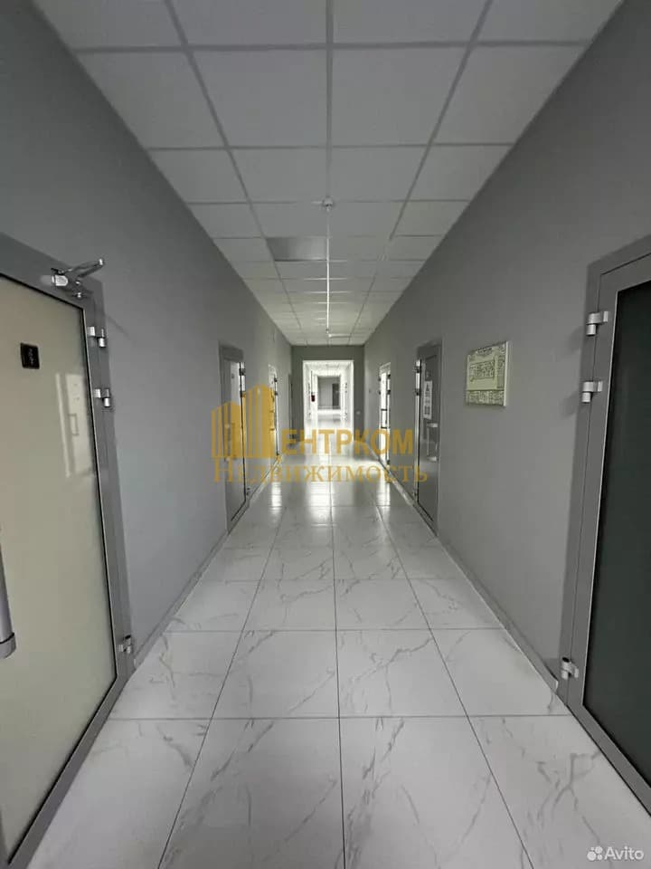 Миниатюра 4