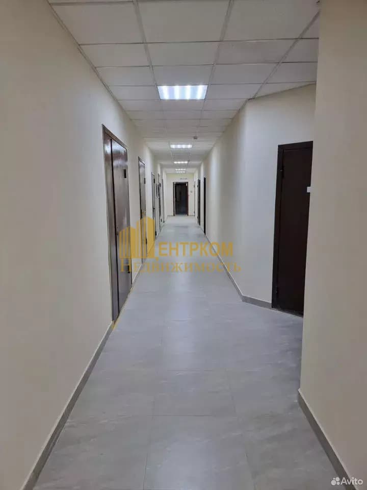 Миниатюра 7