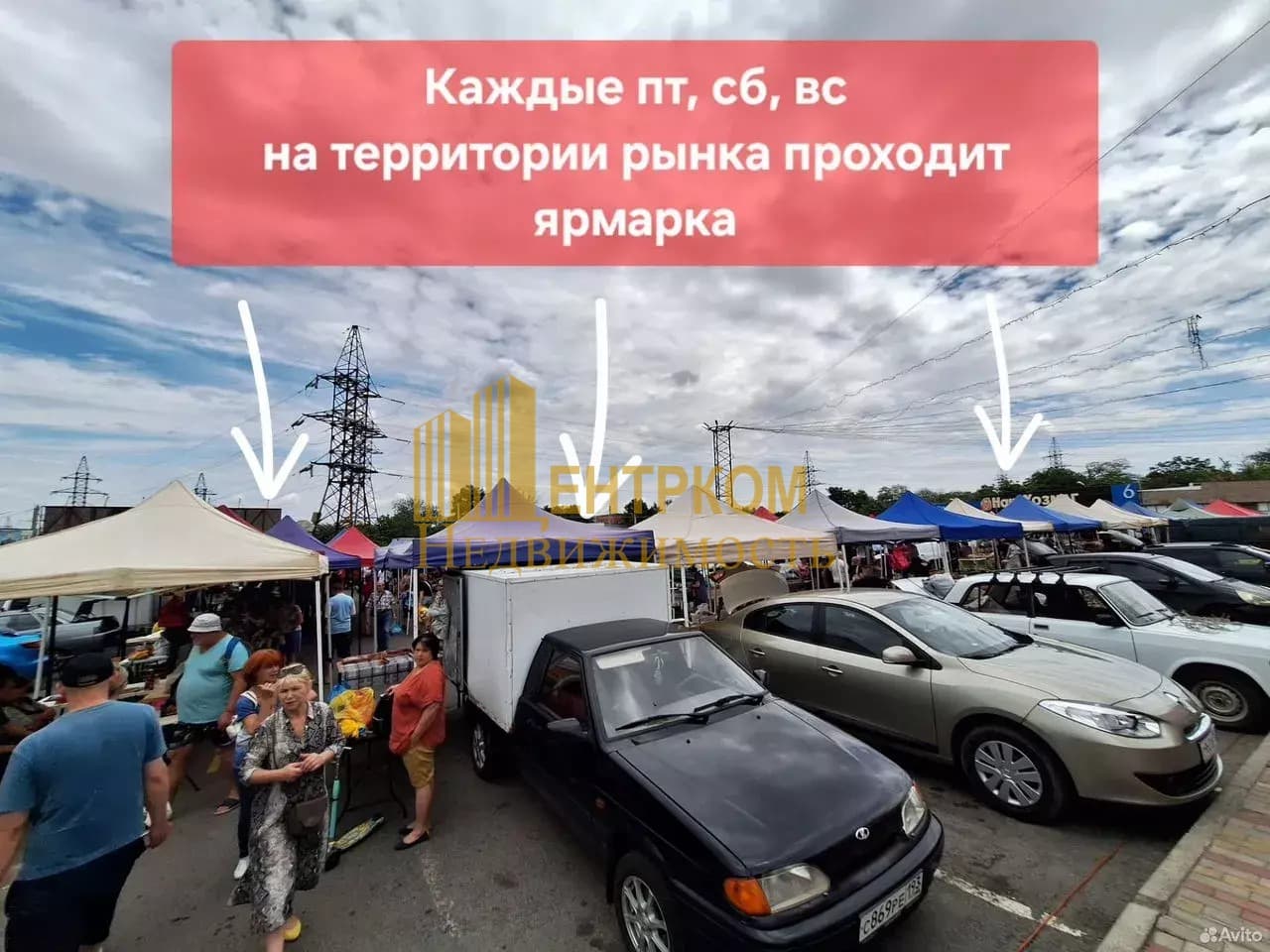 Миниатюра 12