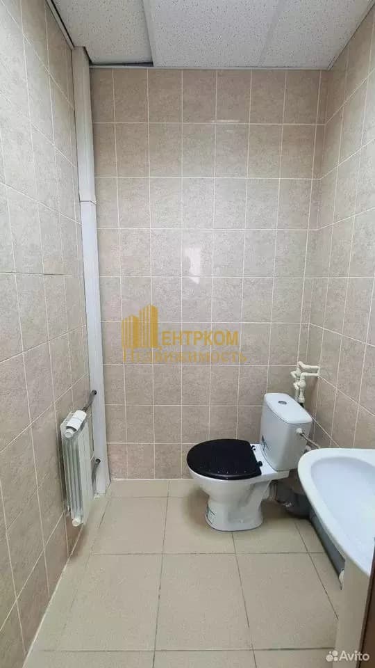 Миниатюра 15