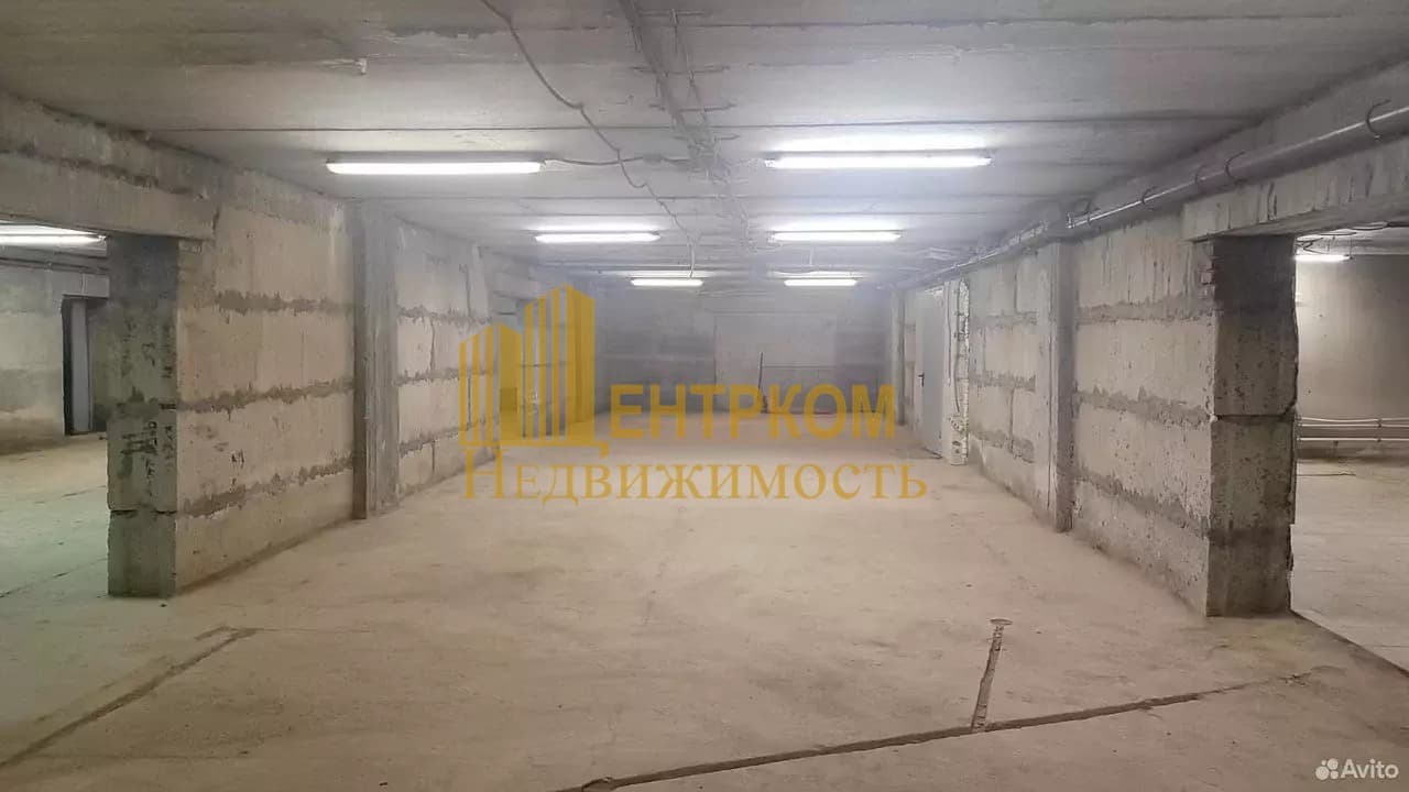 Миниатюра 12