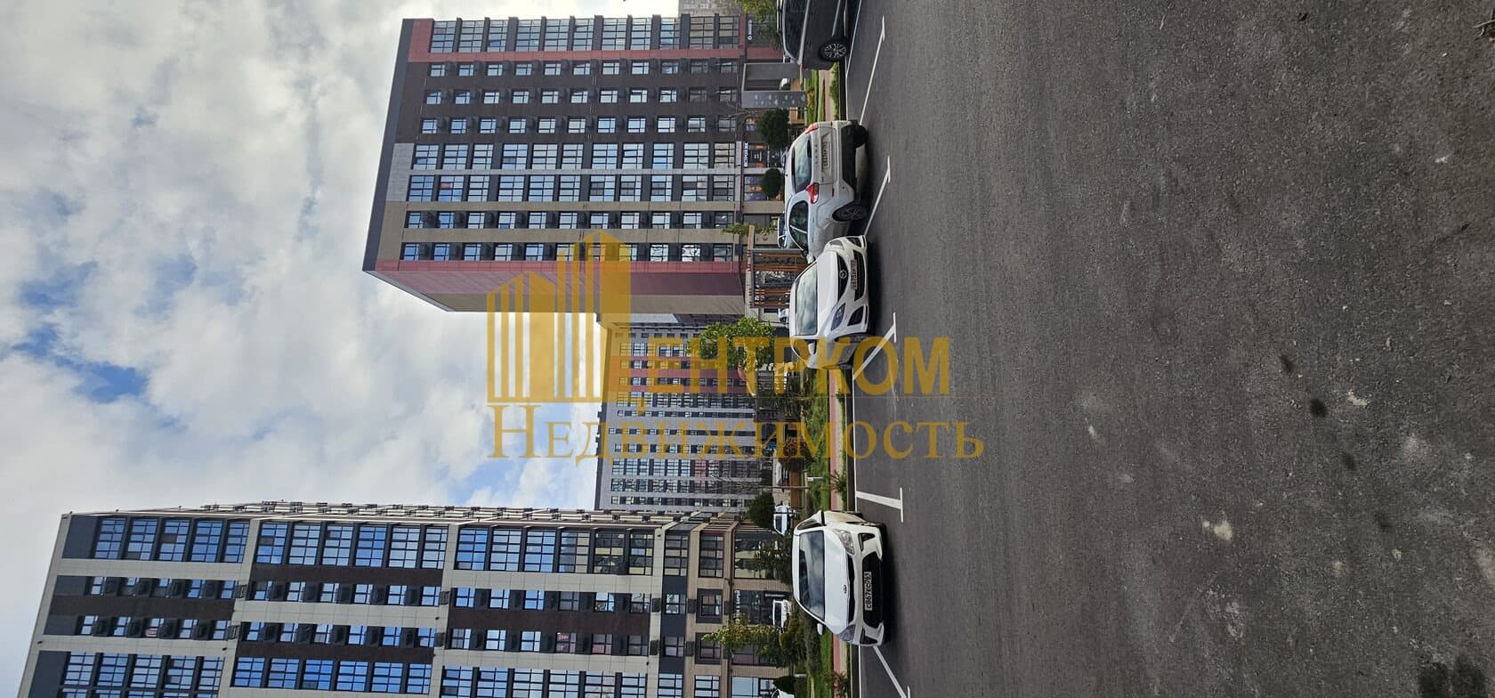 Миниатюра 5