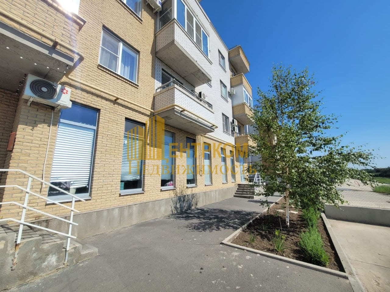 Миниатюра 5