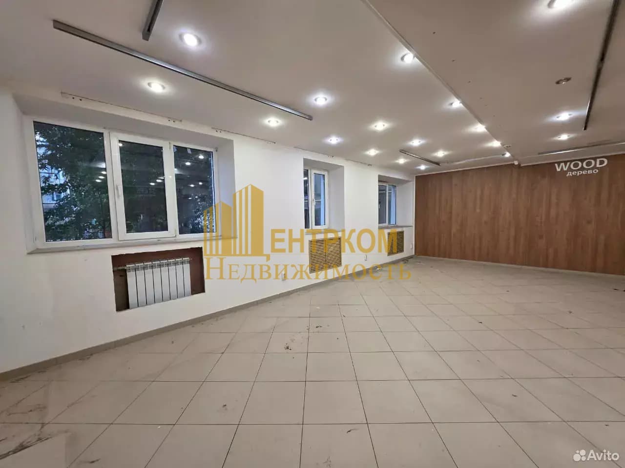 Миниатюра 17
