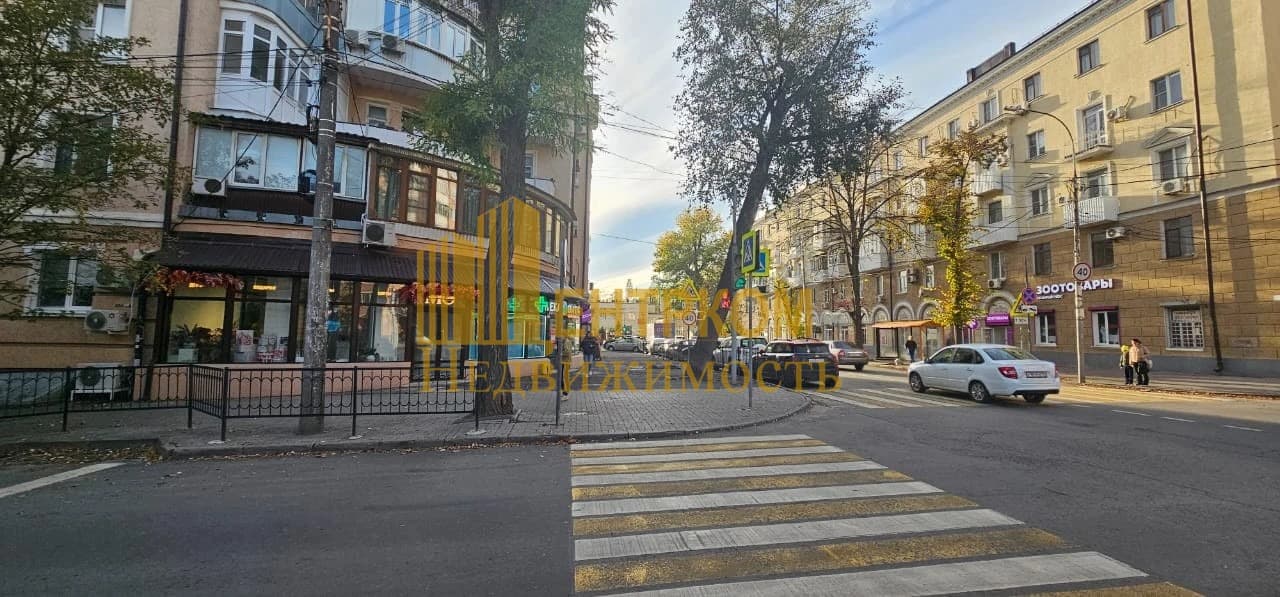 Миниатюра 4